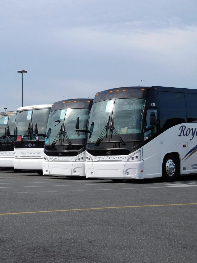 buses, travel, transportation, vehicle, buses, buses, buses, buses, buses